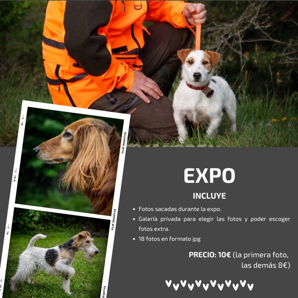 EXPO