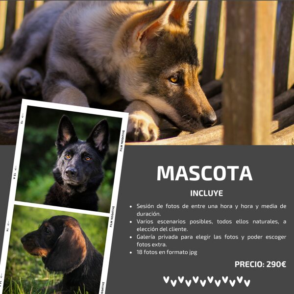 MASCOTAS