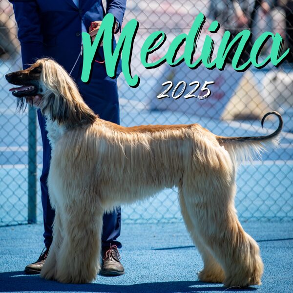 MEDINA 2025
