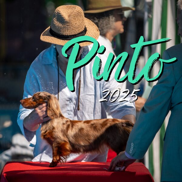 PINTO 2025